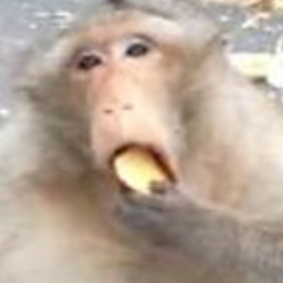 Meet your Posher, Caleb - Picture 1 of 1